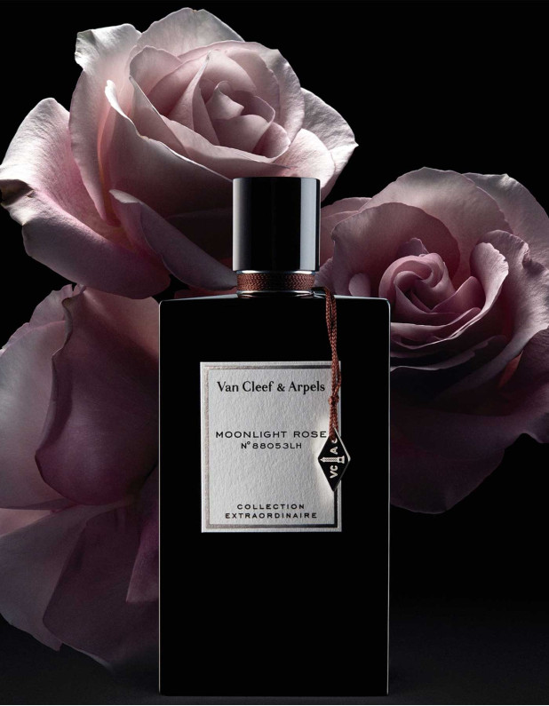 CE Moonlight Rose Edp